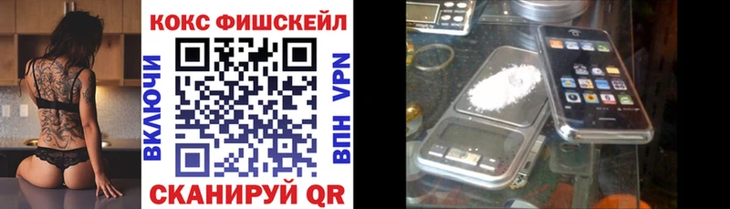 COCAIN Fish Scale  блэк спрут ссылки  Алдан  где купить  