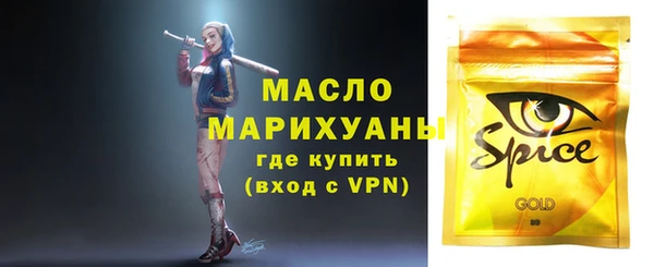 гашик Алексеевка