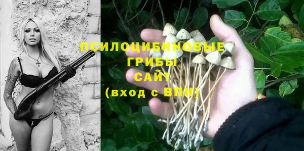 мдпв Алексин