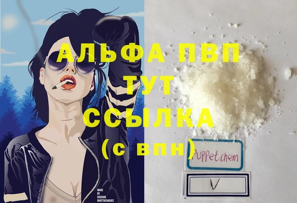гашик Алексеевка