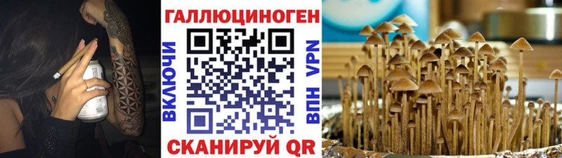 hydra ССЫЛКА  цены   Алдан  Галлюциногенные грибы Psilocybe 